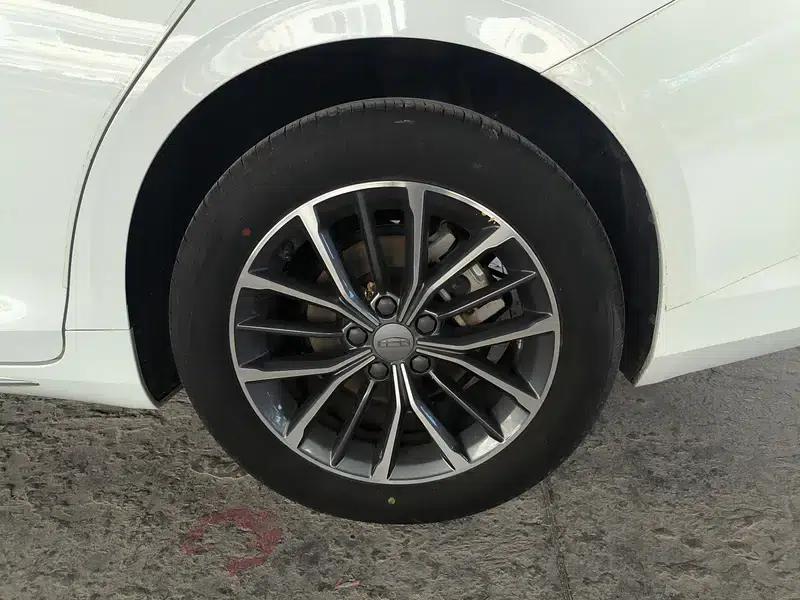 Xingrui 2020 2.0T Luxury Edition — миниатюра 9