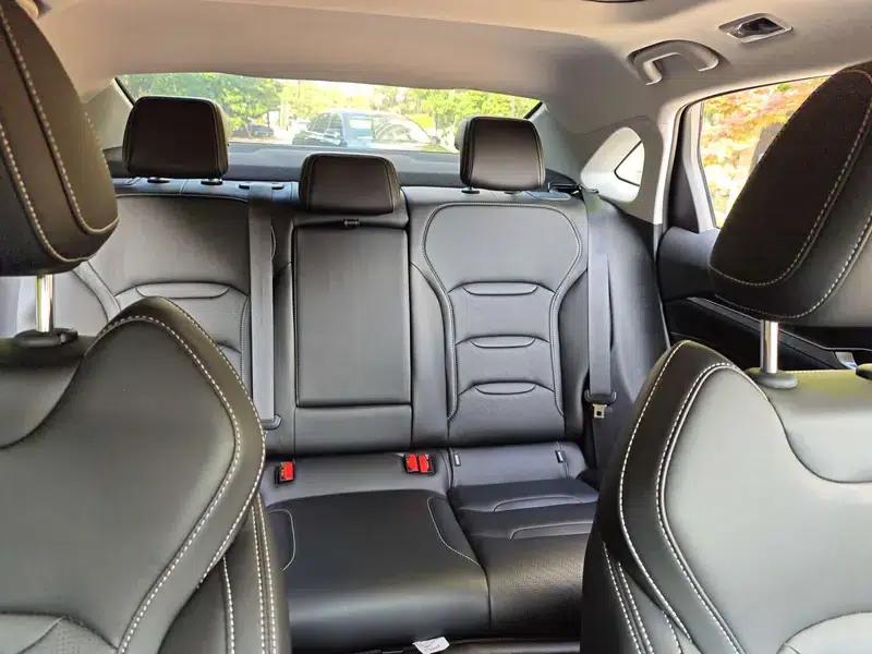 Xingrui 2023 2.0T Luxury Edition — миниатюра 13