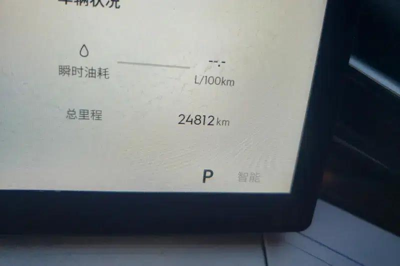 Xingrui 2025 1.5T Oriental Radiance Edition — миниатюра 12