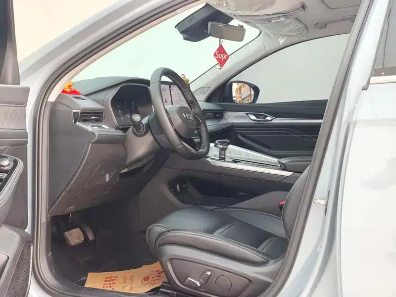 Xingrui 2020 2.0T Flagship Edition — миниатюра 25