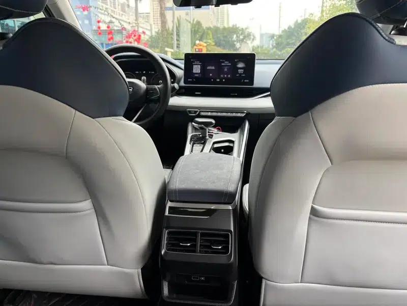 Xingrui 2021 2.0T Premium Edition — миниатюра 10