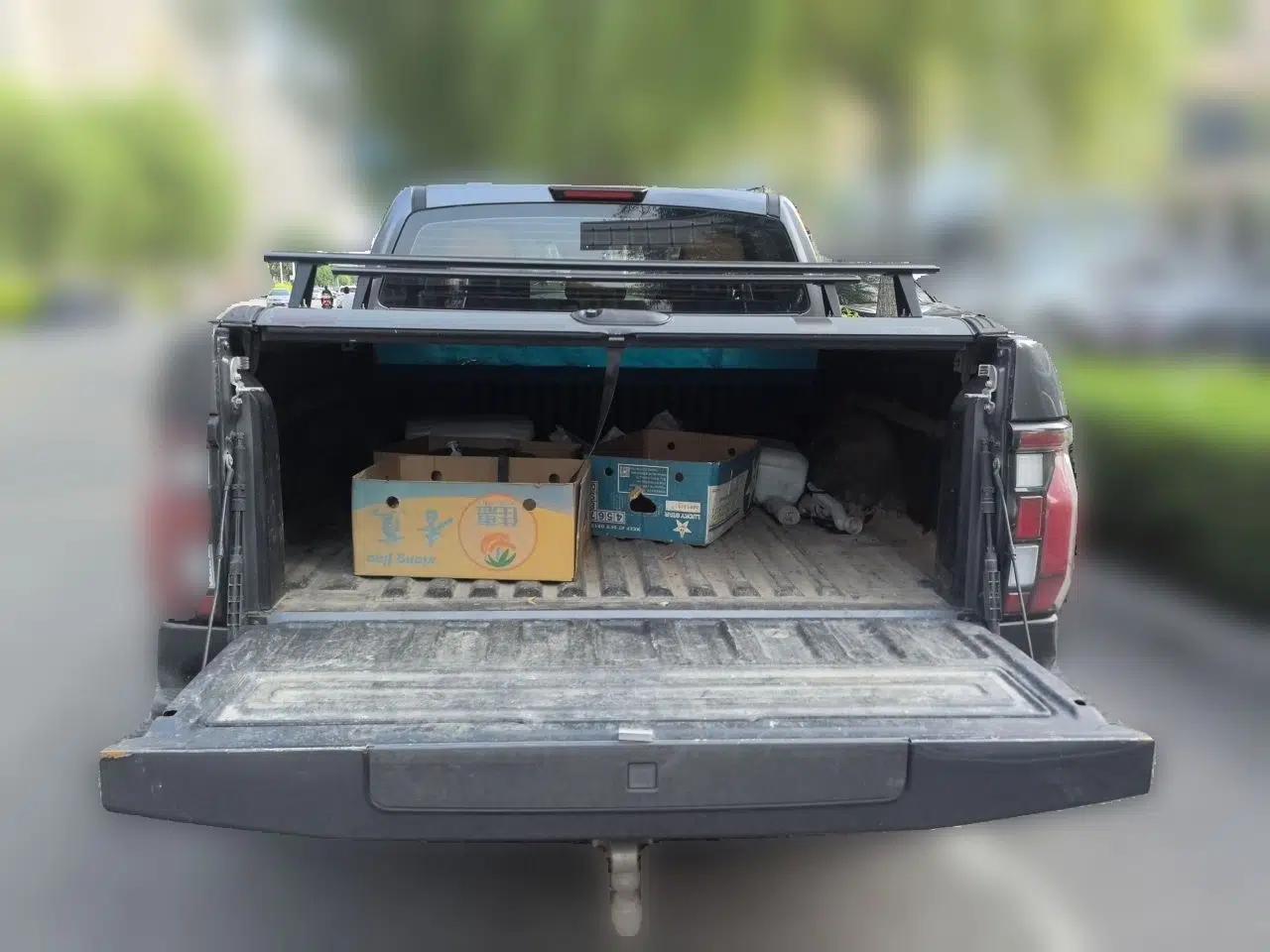 Foton Mars 2023 Mars 9 2.0T Diesel Automatic 4x4 Standard-Wheelbase Flagship Model — миниатюра 19