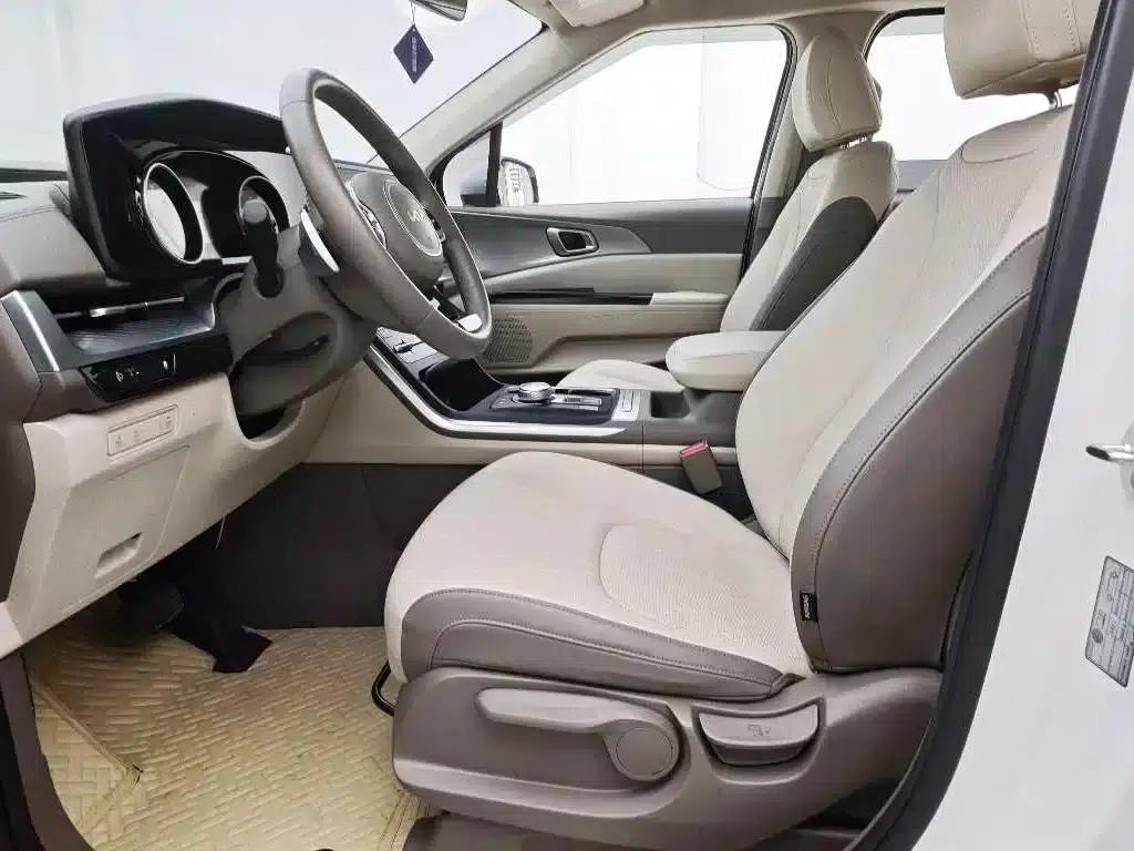 Carnival 2021 2.0T Luxury Edition — миниатюра 13