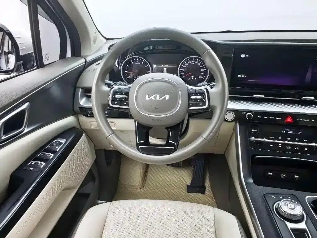 Carnival 2021 2.0T Luxury Edition — миниатюра 4