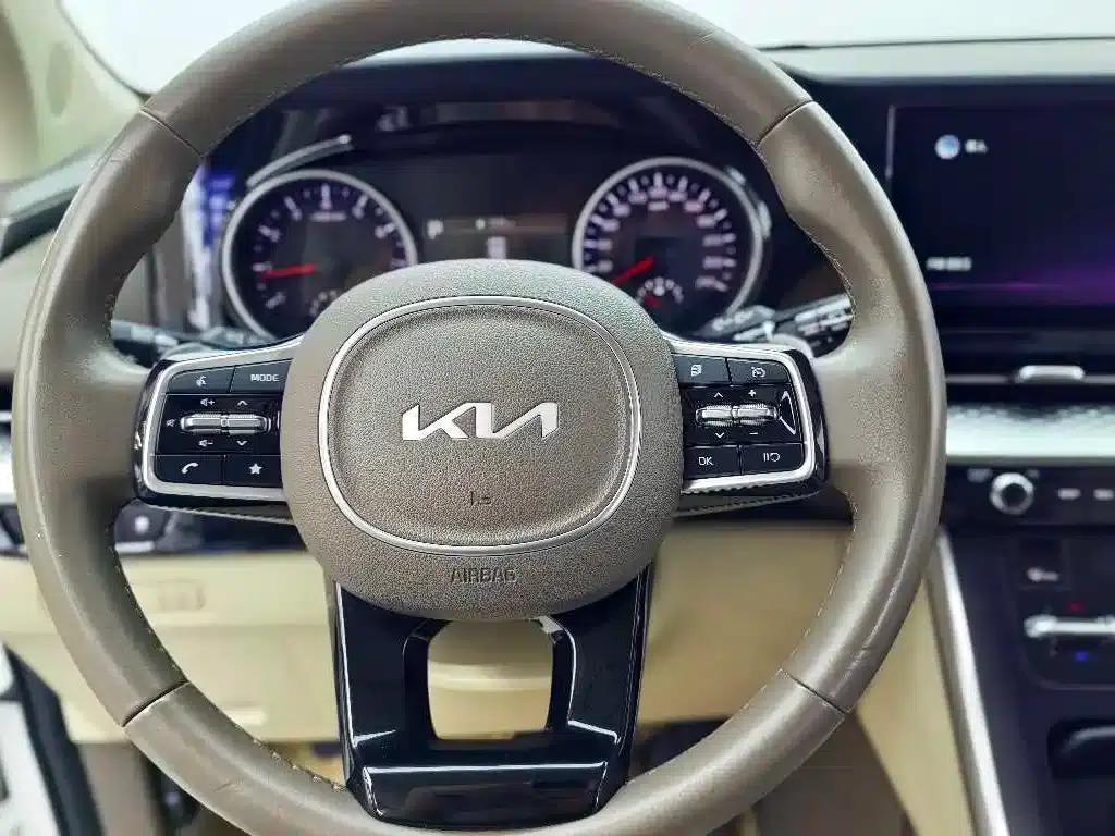 Carnival 2021 2.0T Luxury Edition — миниатюра 10