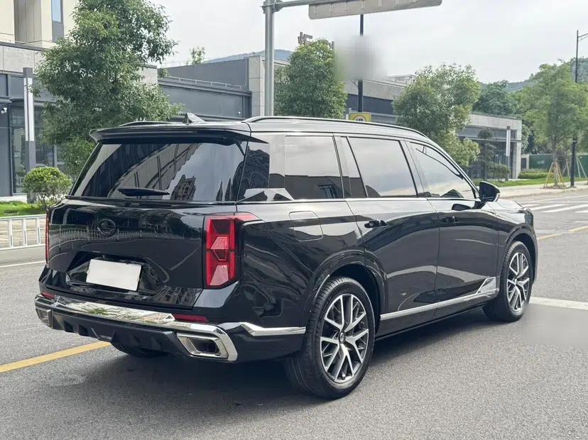 GAC Trumpchi GS8 2022 Dual-Engine Series 2.0TM Two-Wheel Drive Prestige Edition (7 Seats) — миниатюра 7