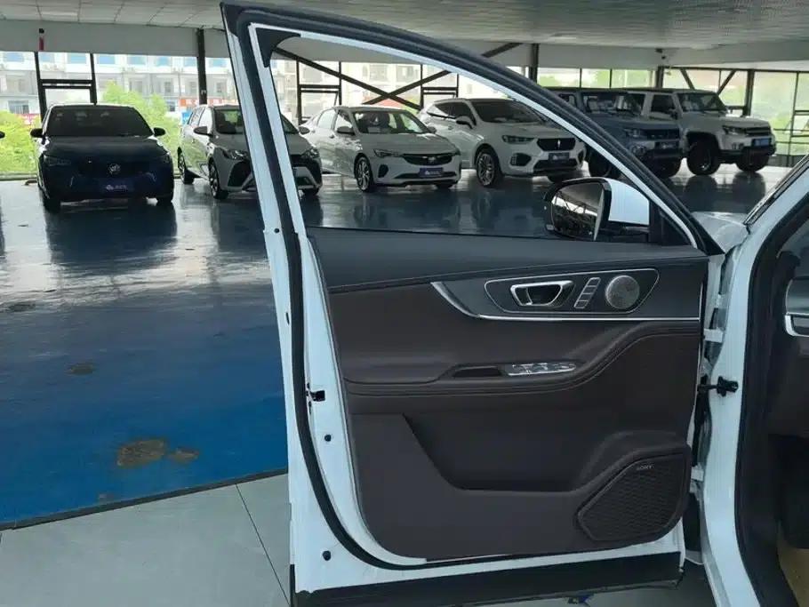 Chery Tiggo 8 PRO 2024 Champion Edition 290T 2WD Peak Edition 7-Seater — миниатюра 7