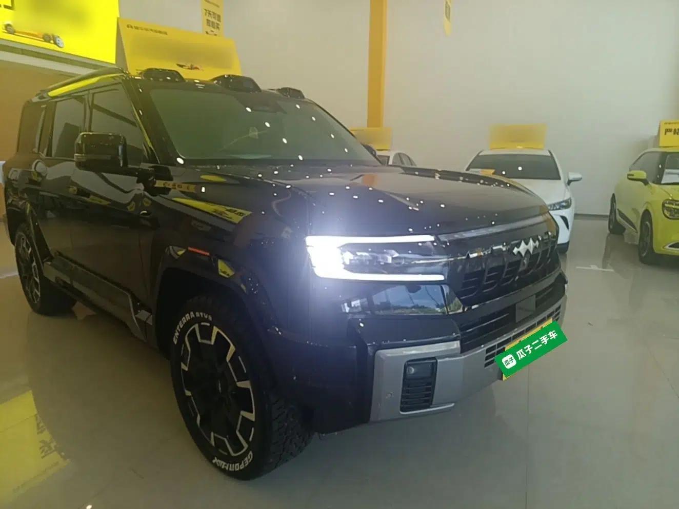 Formula Leopard 8 2025 Smart & Brave Flagship Edition 7 Seats — миниатюра 3