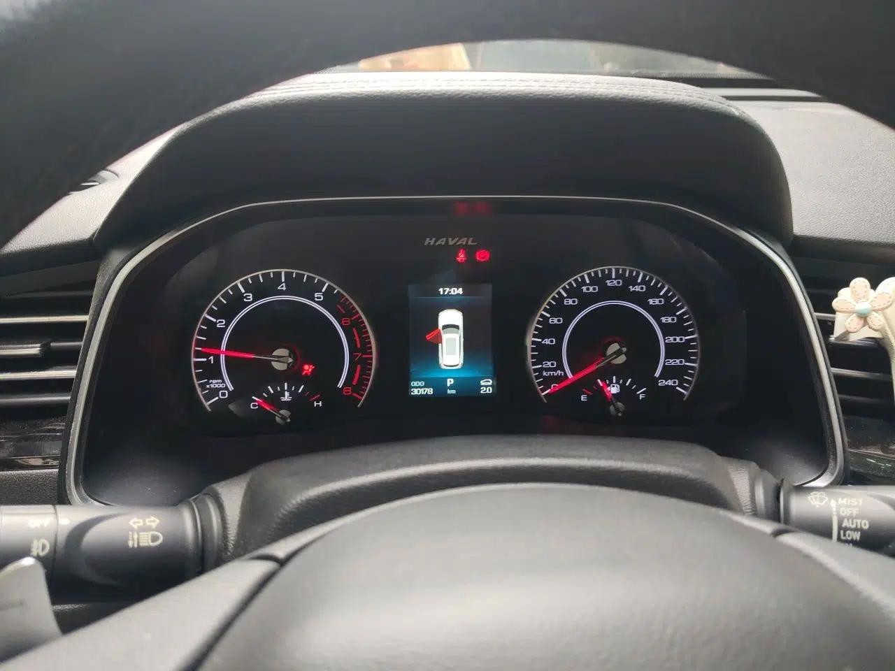 Haval H6 2020 1.5 GDIT Automatic Platinum Champion Edition — миниатюра 11