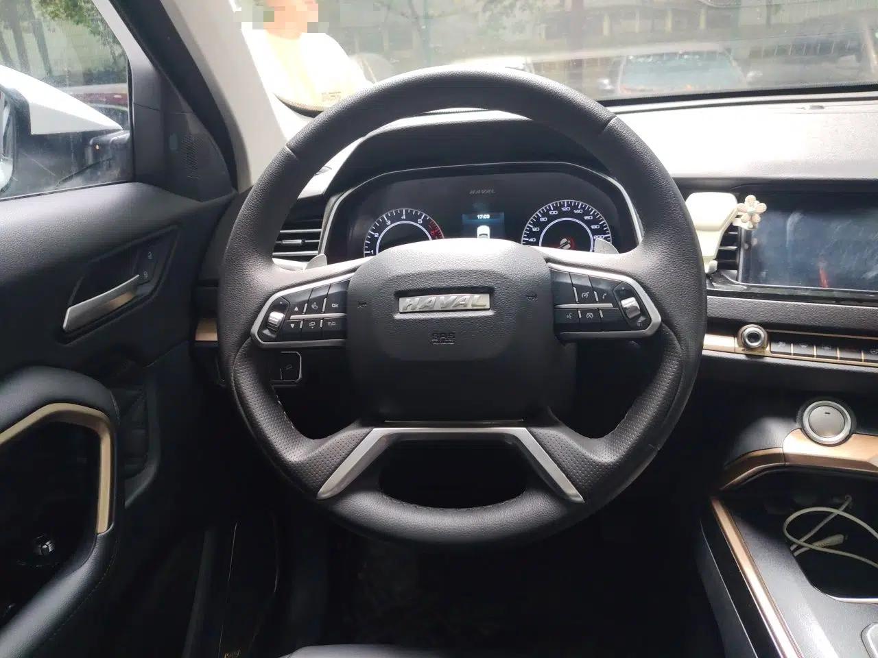 Haval H6 2020 1.5 GDIT Automatic Platinum Champion Edition — миниатюра 10