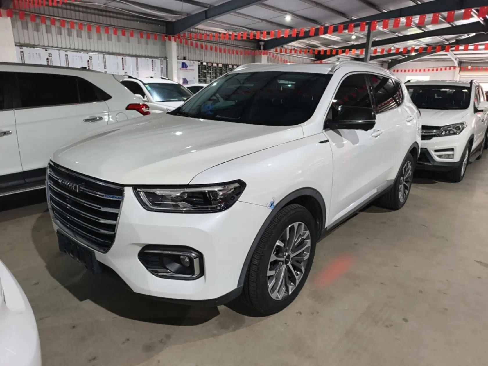 Haval H6 2020 1.5 GDIT Automatic Platinum Champion Edition — миниатюра 1