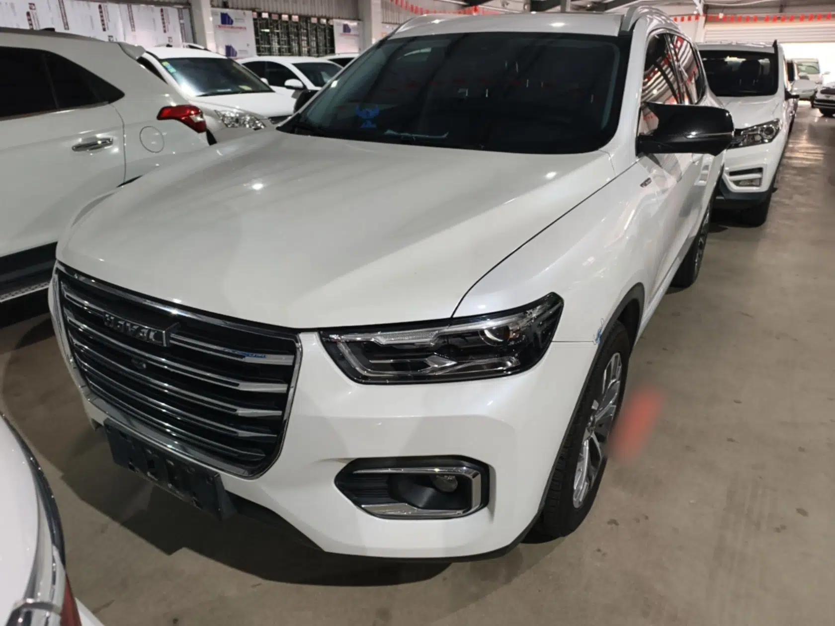Haval H6 2020 1.5 GDIT Automatic Platinum Champion Edition — миниатюра 2