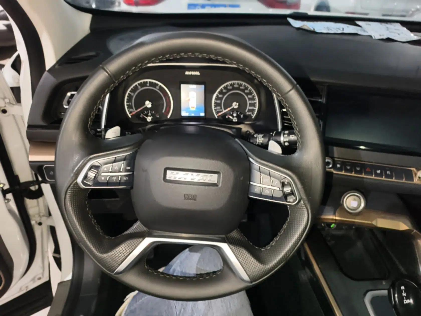 Haval H6 2020 1.5 GDIT Automatic Platinum Champion Edition — миниатюра 18