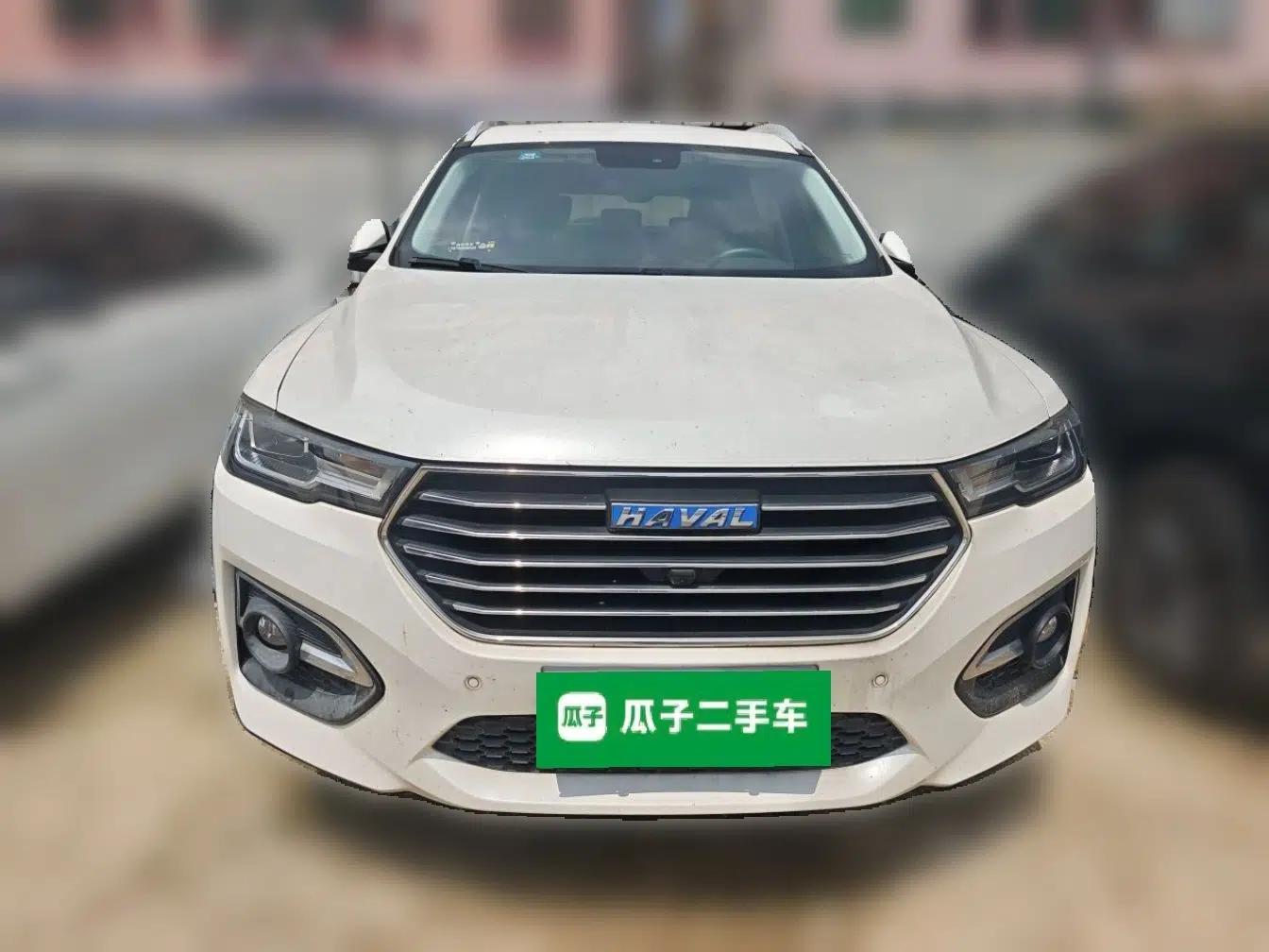 Haval H6 2018 Blue-Label 1.5T Automatic Luxury Model — миниатюра 2