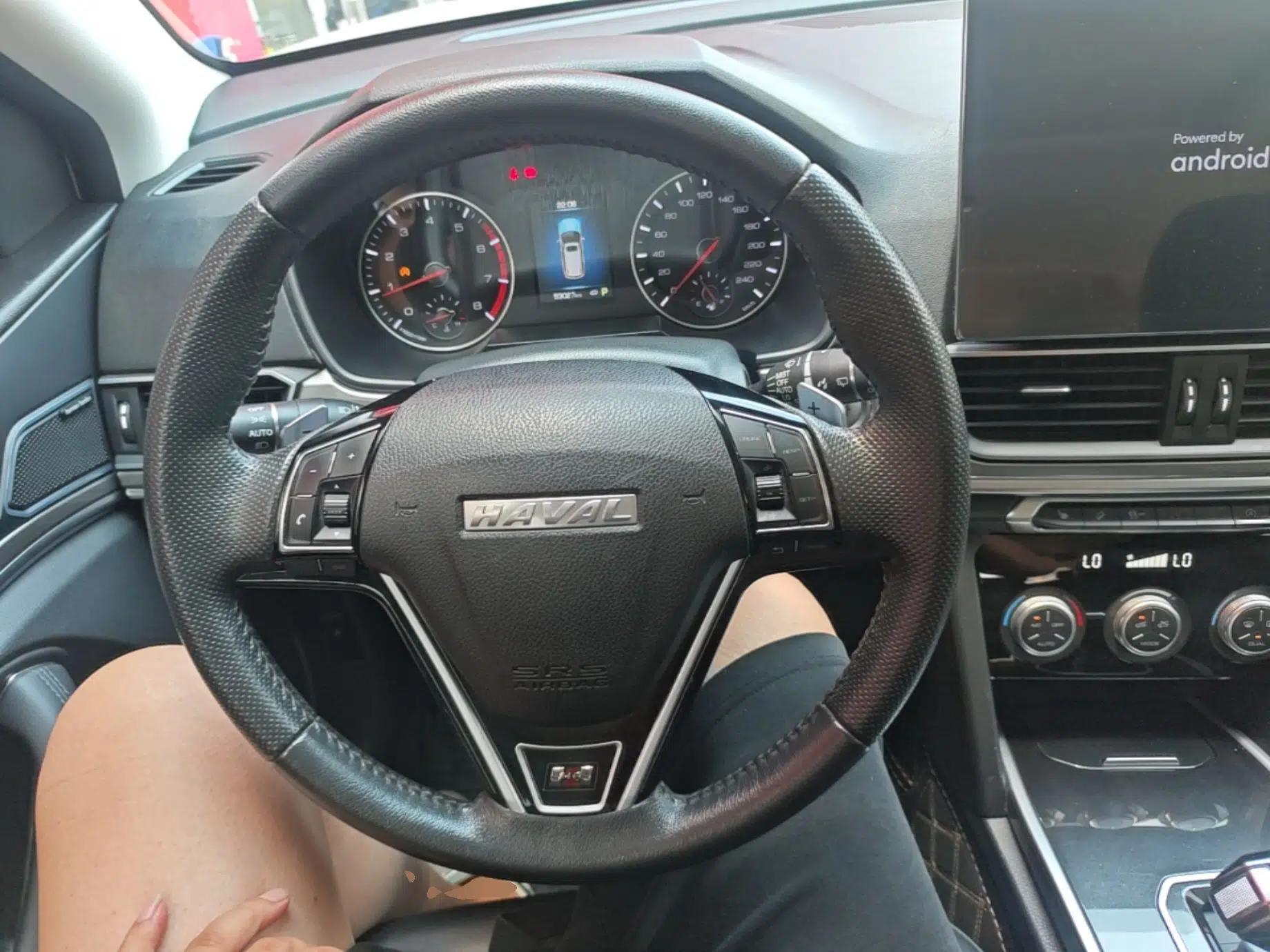 Haval H6 2018 Red-Label Sport Edition 1.5T Automatic Two-Wheel Drive Prestige Model — миниатюра 13