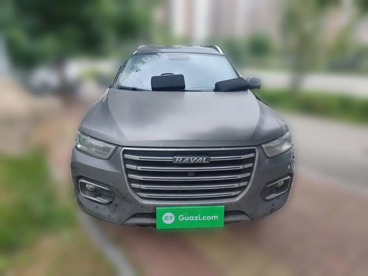 Haval H6 2020 2.0 GDIT Automatic Platinum Champion Edition — миниатюра 2