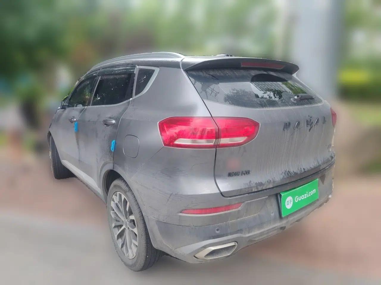Haval H6 2020 2.0 GDIT Automatic Platinum Champion Edition — миниатюра 4
