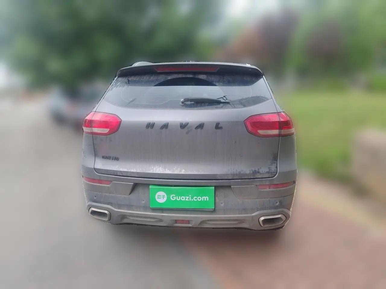 Haval H6 2020 2.0 GDIT Automatic Platinum Champion Edition — миниатюра 5