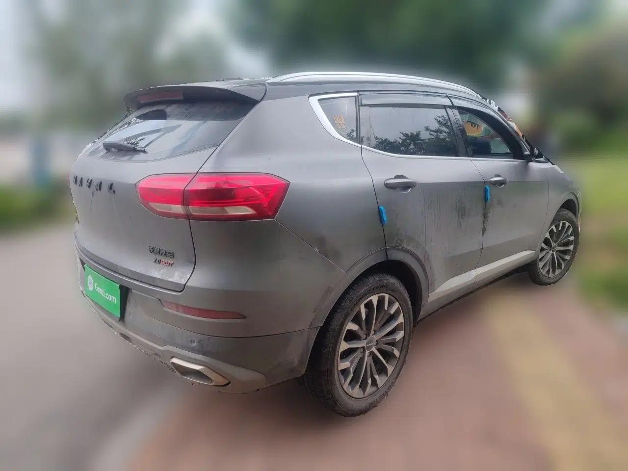 Haval H6 2020 2.0 GDIT Automatic Platinum Champion Edition — миниатюра 6