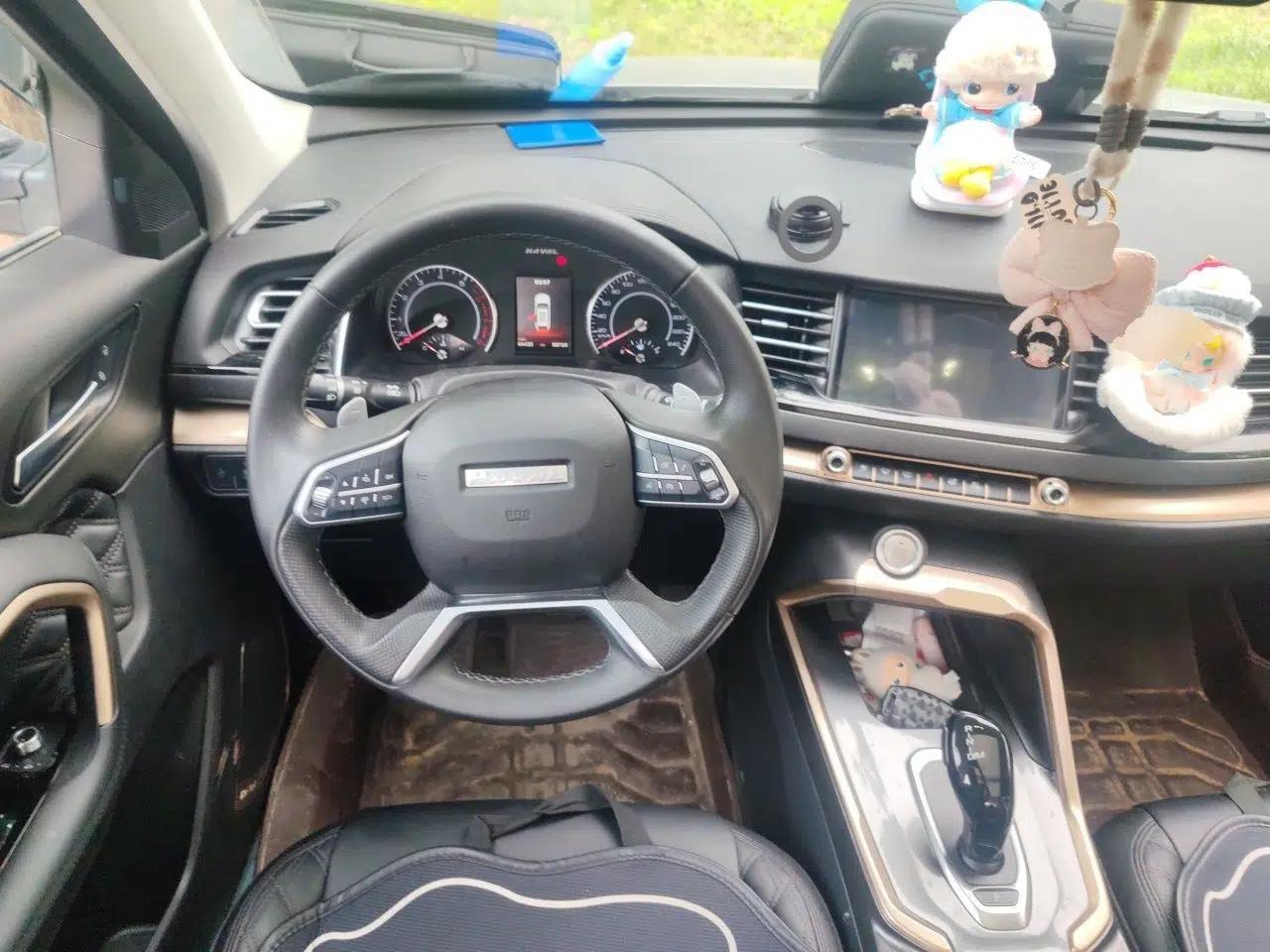 Haval H6 2020 2.0 GDIT Automatic Platinum Champion Edition — миниатюра 10