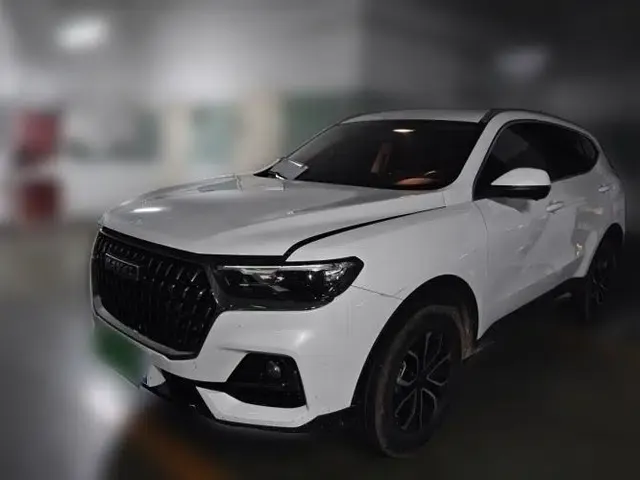 Haval H6 2023 National Trend Edition 1.5T Automatic Urban Version