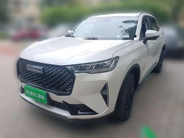 Haval H6 2021 3rd Generation 2.0T Automatic Two-Wheel Drive Max