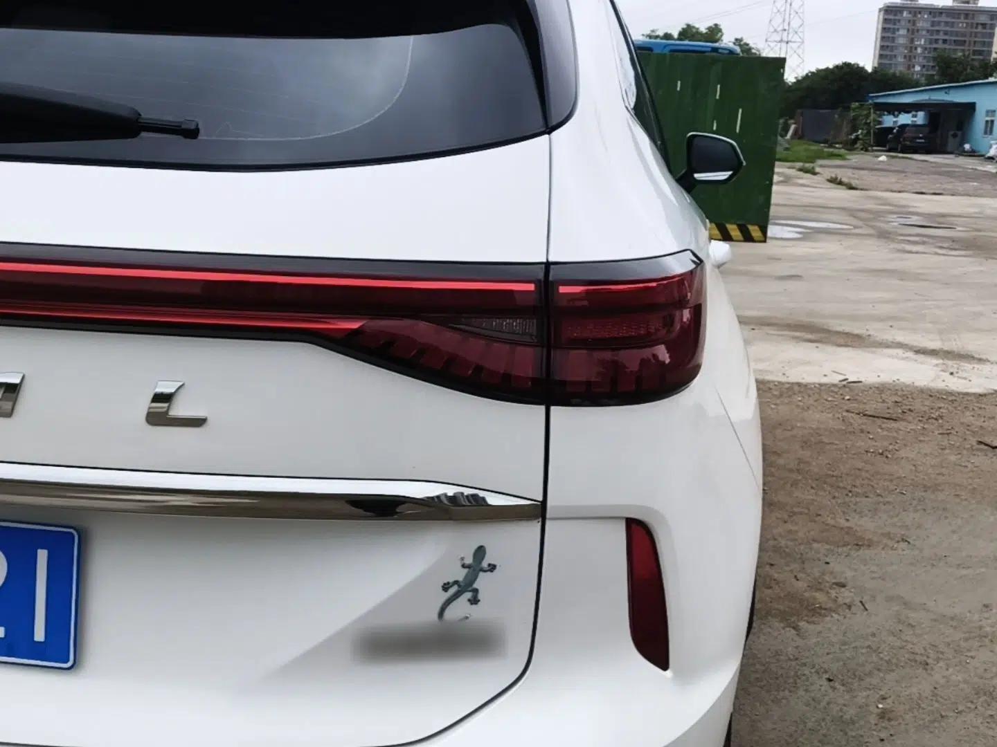Haval H6 2021 3rd Generation 1.5T Automatic Two-Wheel Drive Max — миниатюра 9