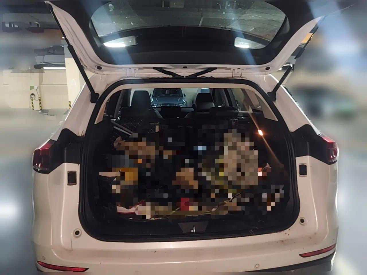 Haval H6 2021 National Trend Edition 1.5T Automatic Urban Version — миниатюра 19