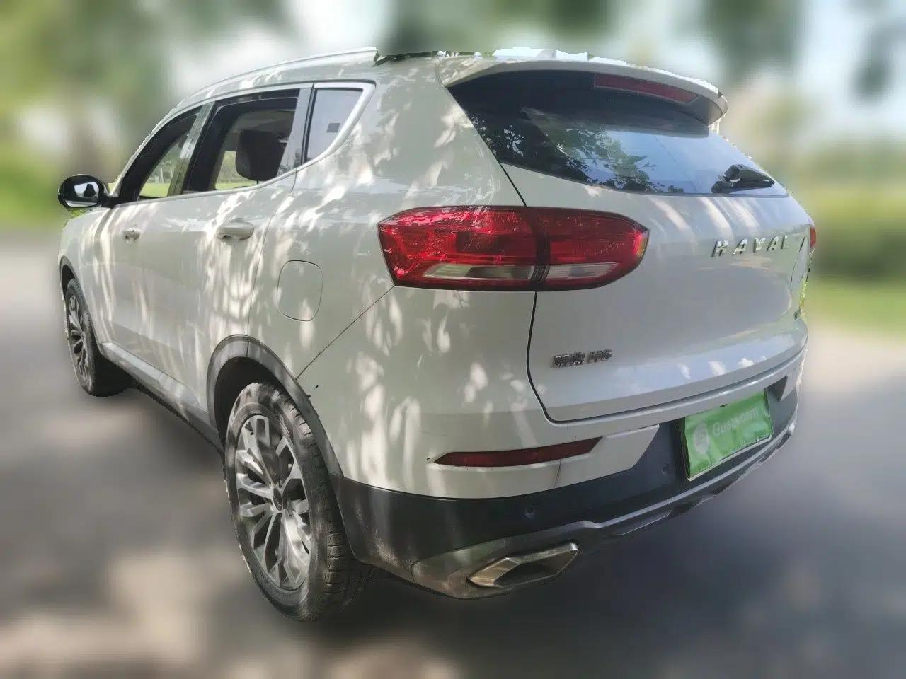 Haval H6 2020 1.5 GDIT Automatic Platinum Luxury Edition — миниатюра 4