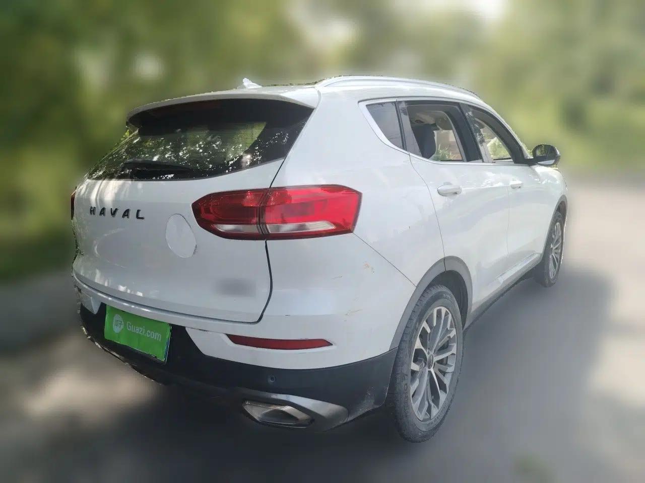 Haval H6 2020 1.5 GDIT Automatic Platinum Luxury Edition — миниатюра 6
