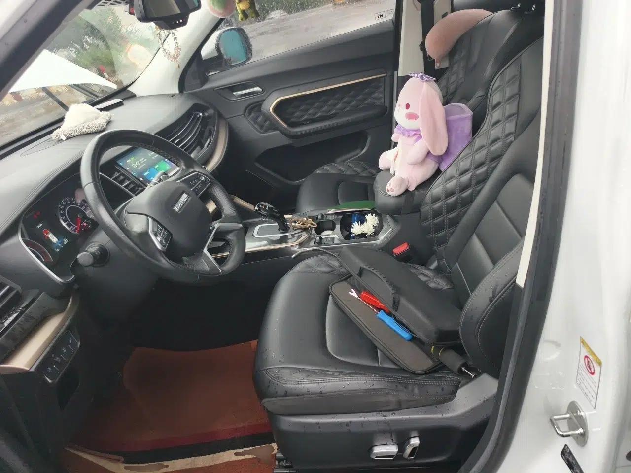 Haval H6 2020 1.5 GDIT Automatic Platinum Champion Edition — миниатюра 15