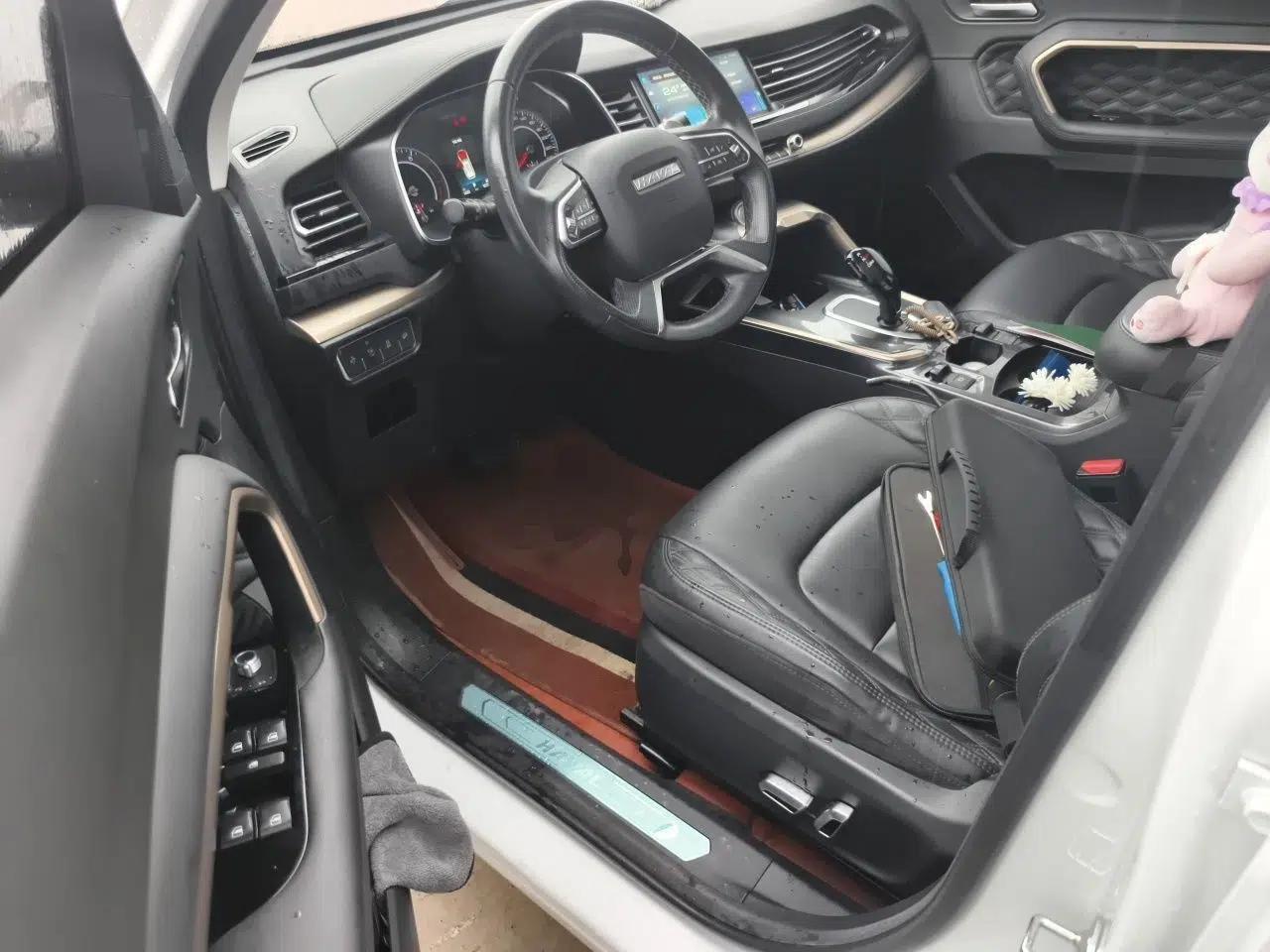 Haval H6 2020 1.5 GDIT Automatic Platinum Champion Edition — миниатюра 16