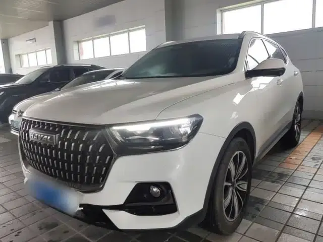 Haval H6 2023 National Trend Edition 1.5T Automatic Champion Version