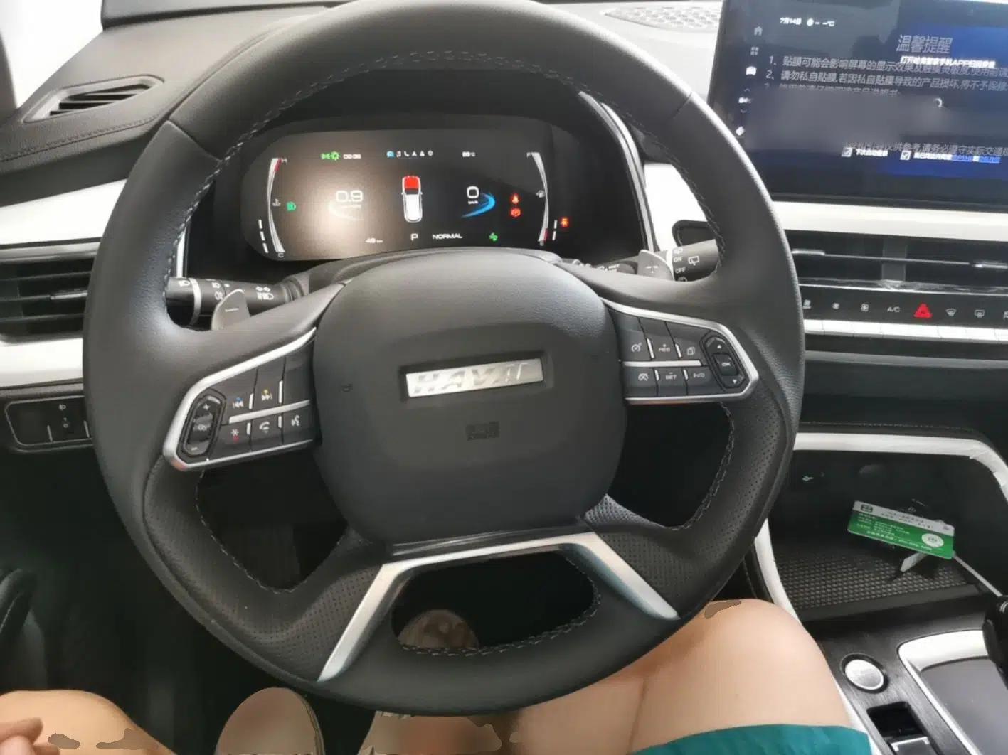 Haval H6 2025 1.5T National Trend Champion Edition — миниатюра 13