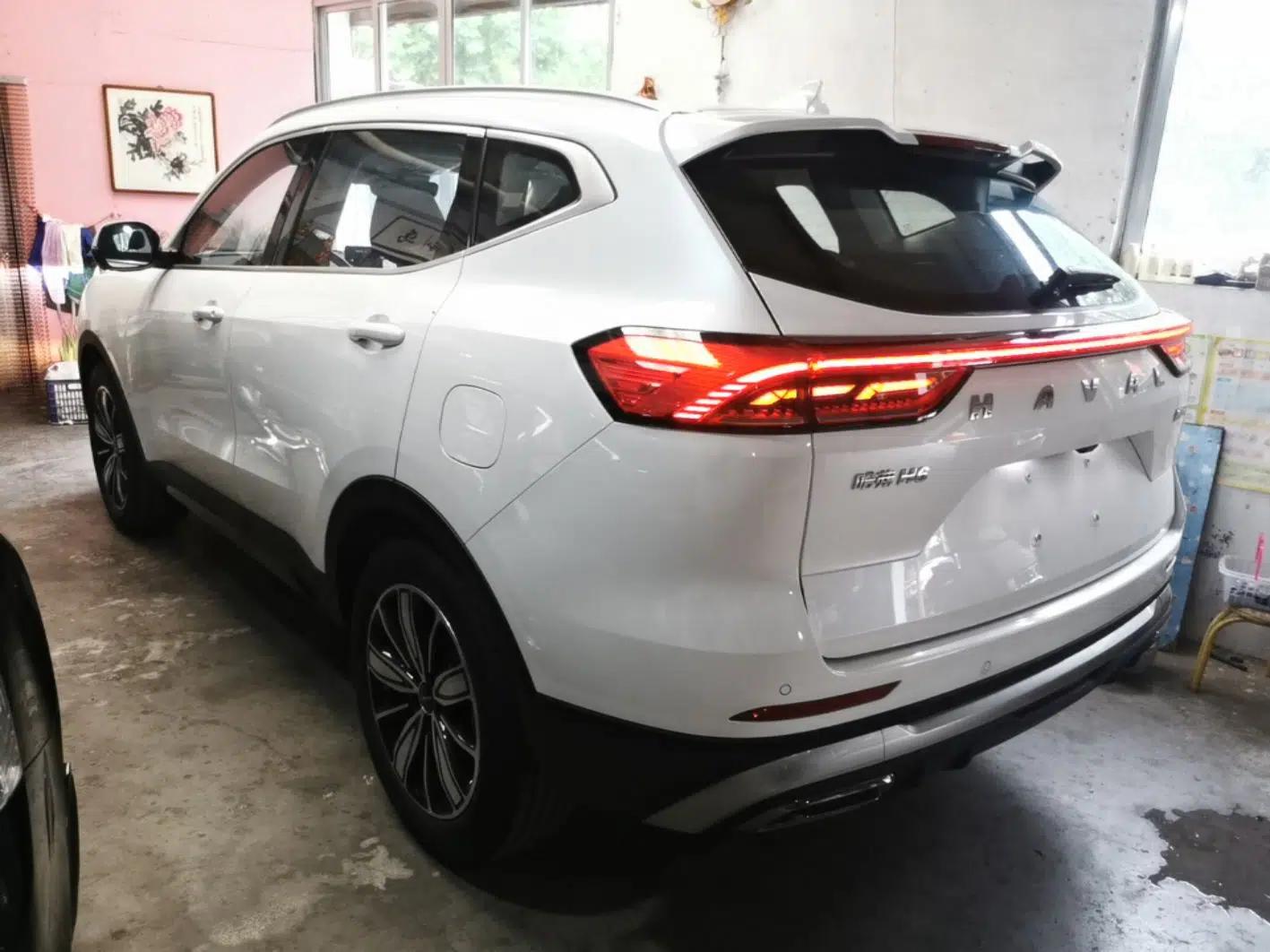 Haval H6 2025 1.5T National Trend Champion Edition — миниатюра 4