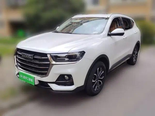 Haval H6 2021 National Trend Edition 1.5T Automatic Urban Version