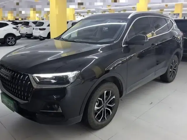 Haval H6 2023 National Trend Edition 1.5T Automatic Urban Version
