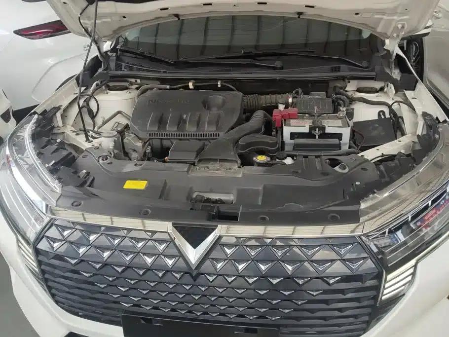 Venucia D60 2021 PLUS 1.6L XL CVT Elite Edition — миниатюра 10