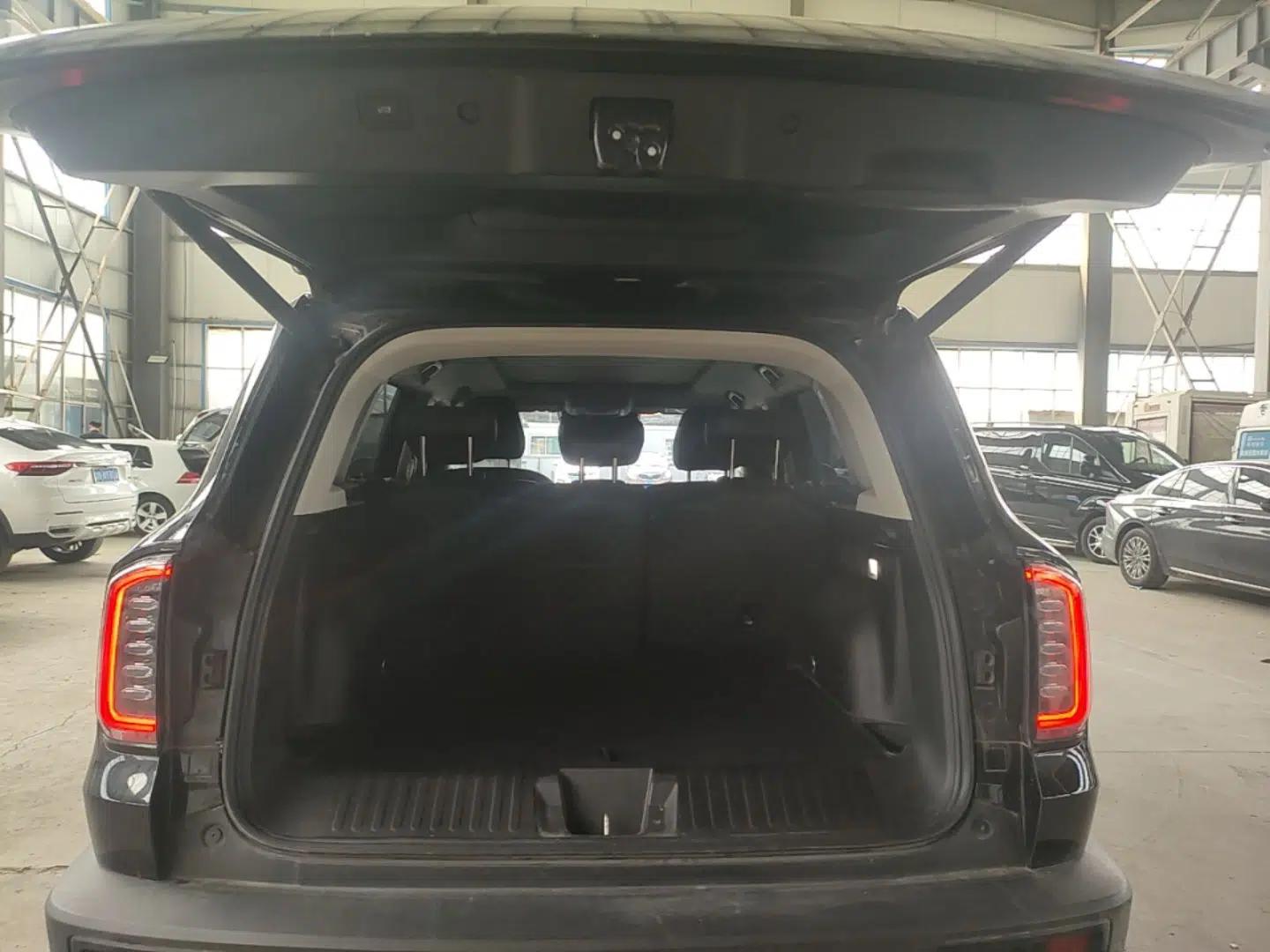 Haval DARGO 2024 1.5T DCT Border Collie Edition — миниатюра 22