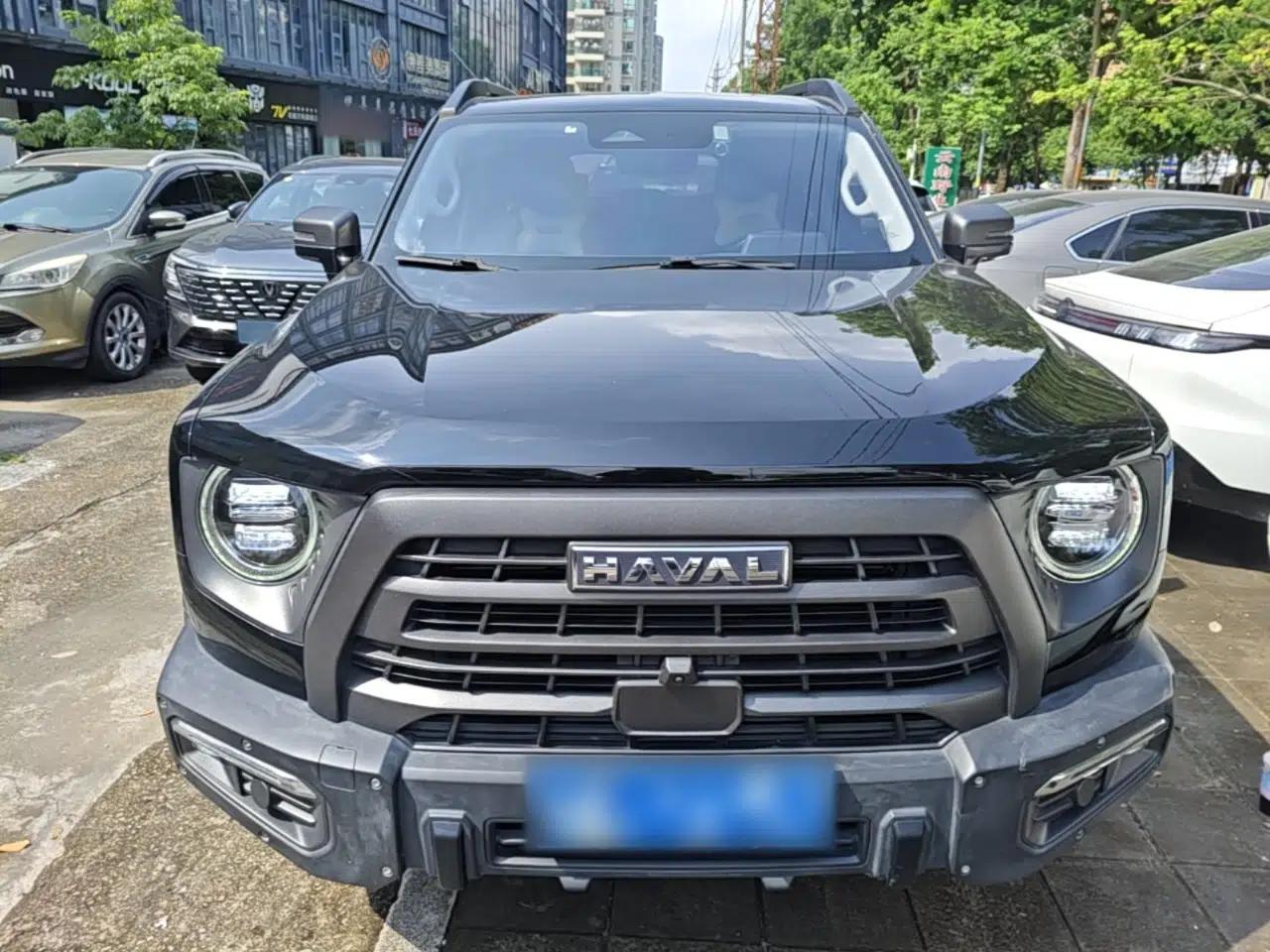 Haval DARGO 2024 2.0T DCT Chinese Rural Dog Edition — миниатюра 2