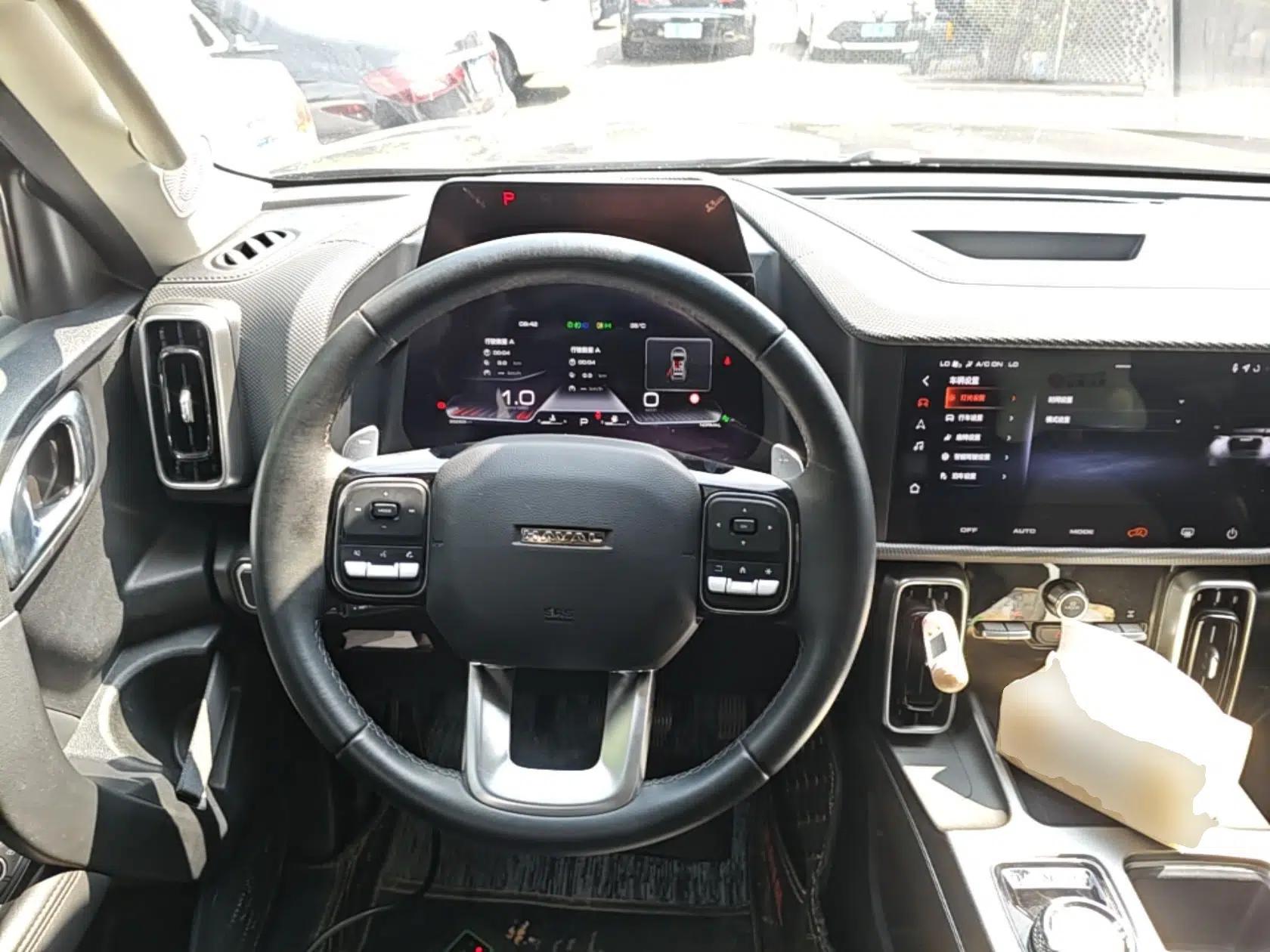 Haval DARGO 2024 2.0T DCT Chinese Rural Dog Edition — миниатюра 13