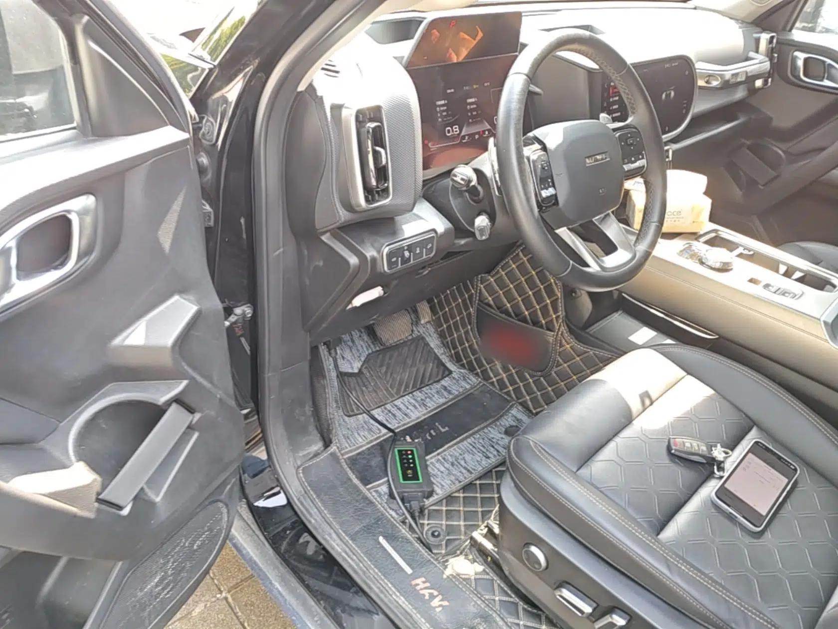 Haval DARGO 2024 2.0T DCT Chinese Rural Dog Edition — миниатюра 18