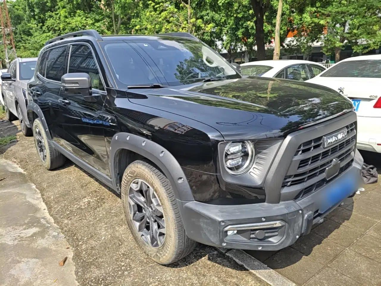 Haval DARGO 2024 2.0T DCT Chinese Rural Dog Edition — миниатюра 3