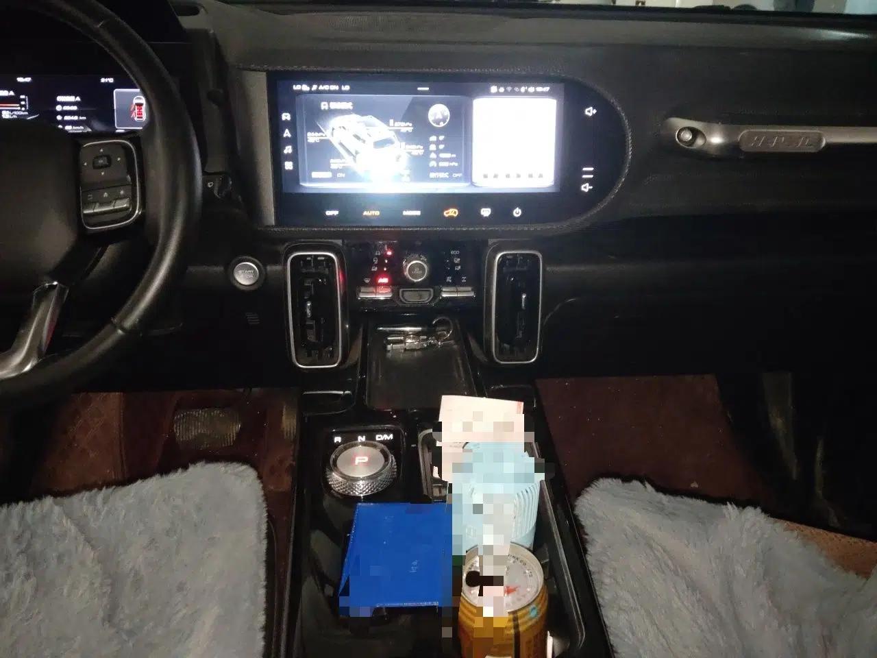 Haval DARGO 2021 2.0T DCT 4x4 Chinese Rural Dog Edition — миниатюра 13