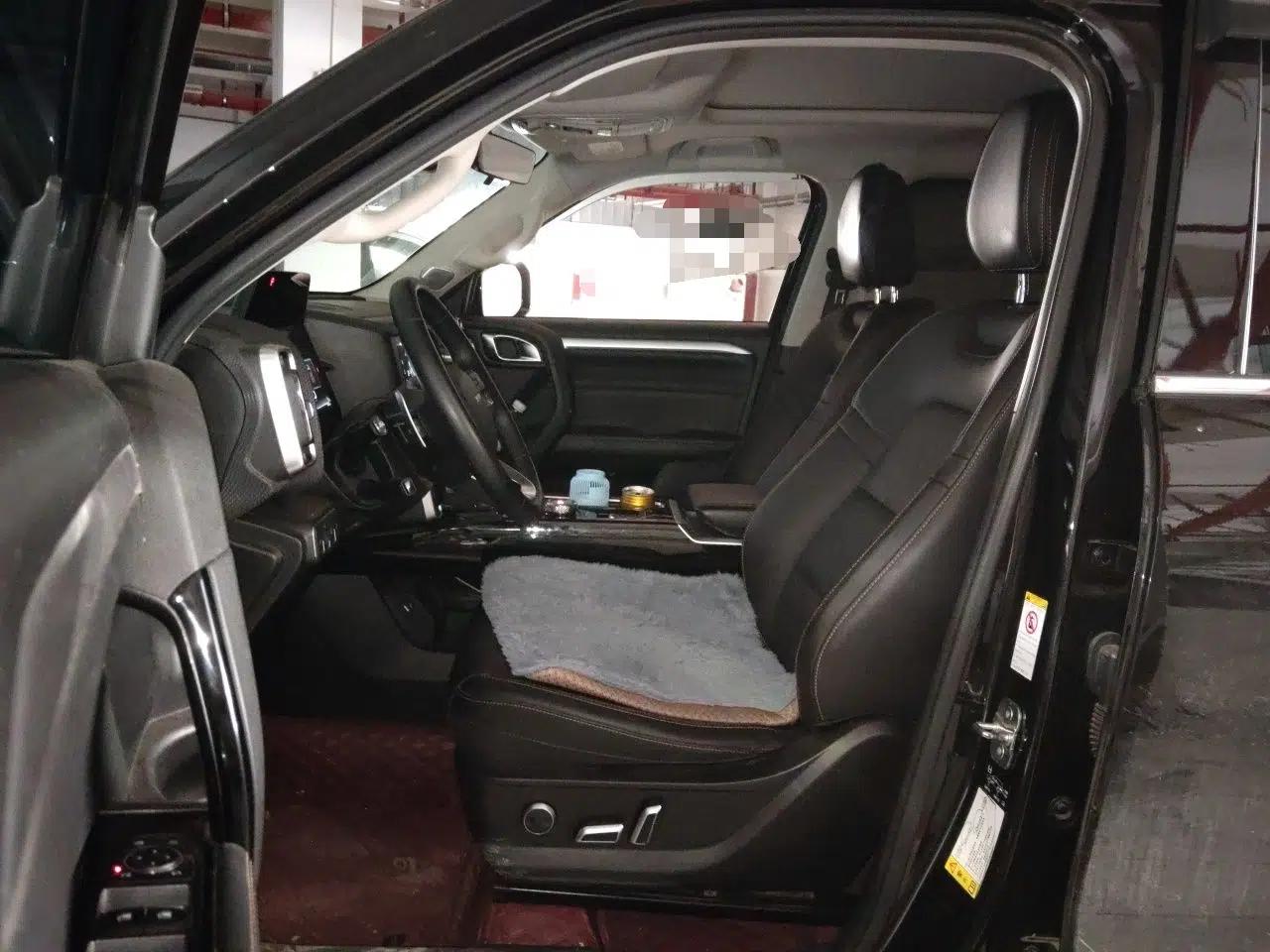 Haval DARGO 2021 2.0T DCT 4x4 Chinese Rural Dog Edition — миниатюра 15