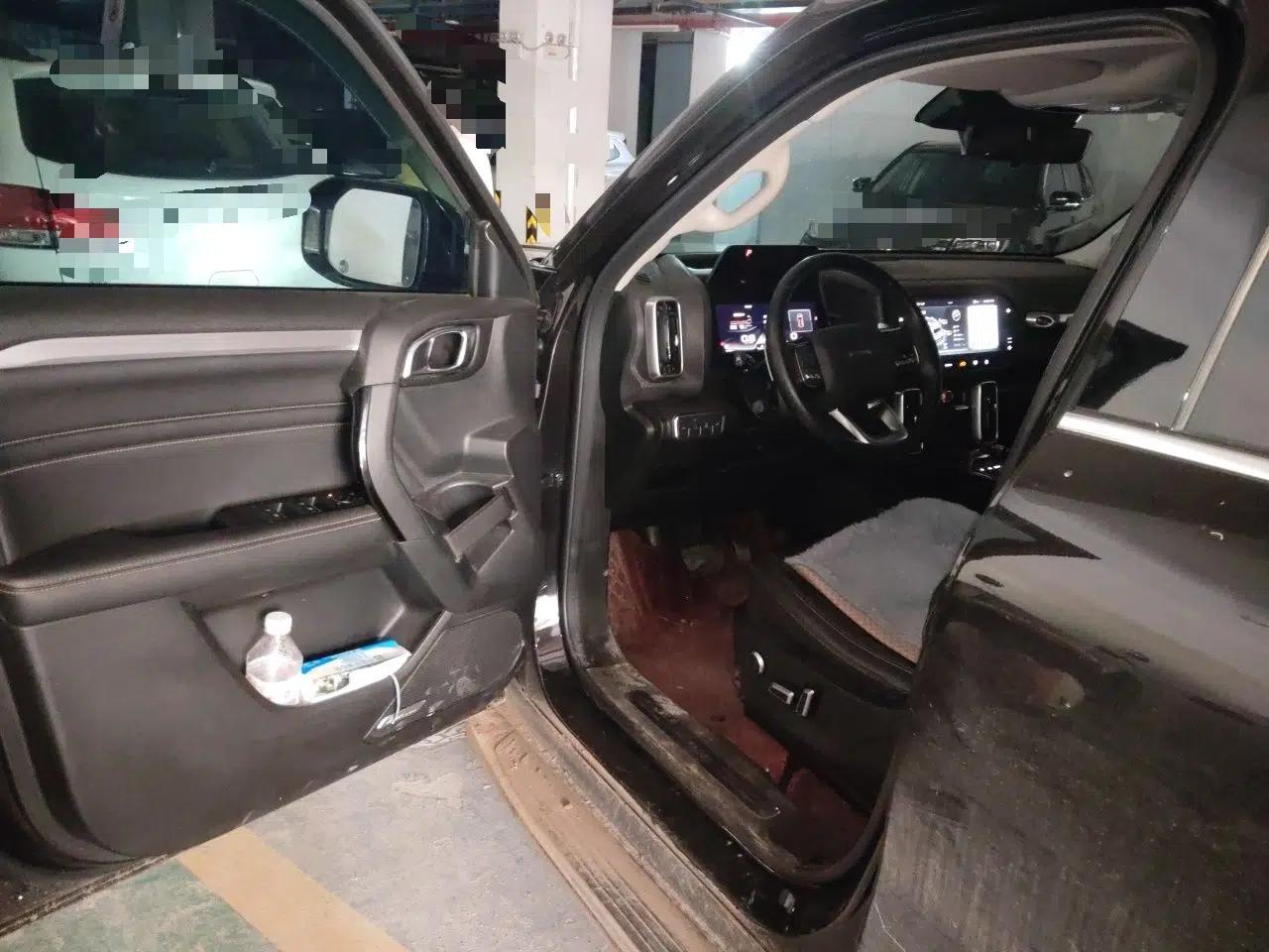 Haval DARGO 2021 2.0T DCT 4x4 Chinese Rural Dog Edition — миниатюра 16