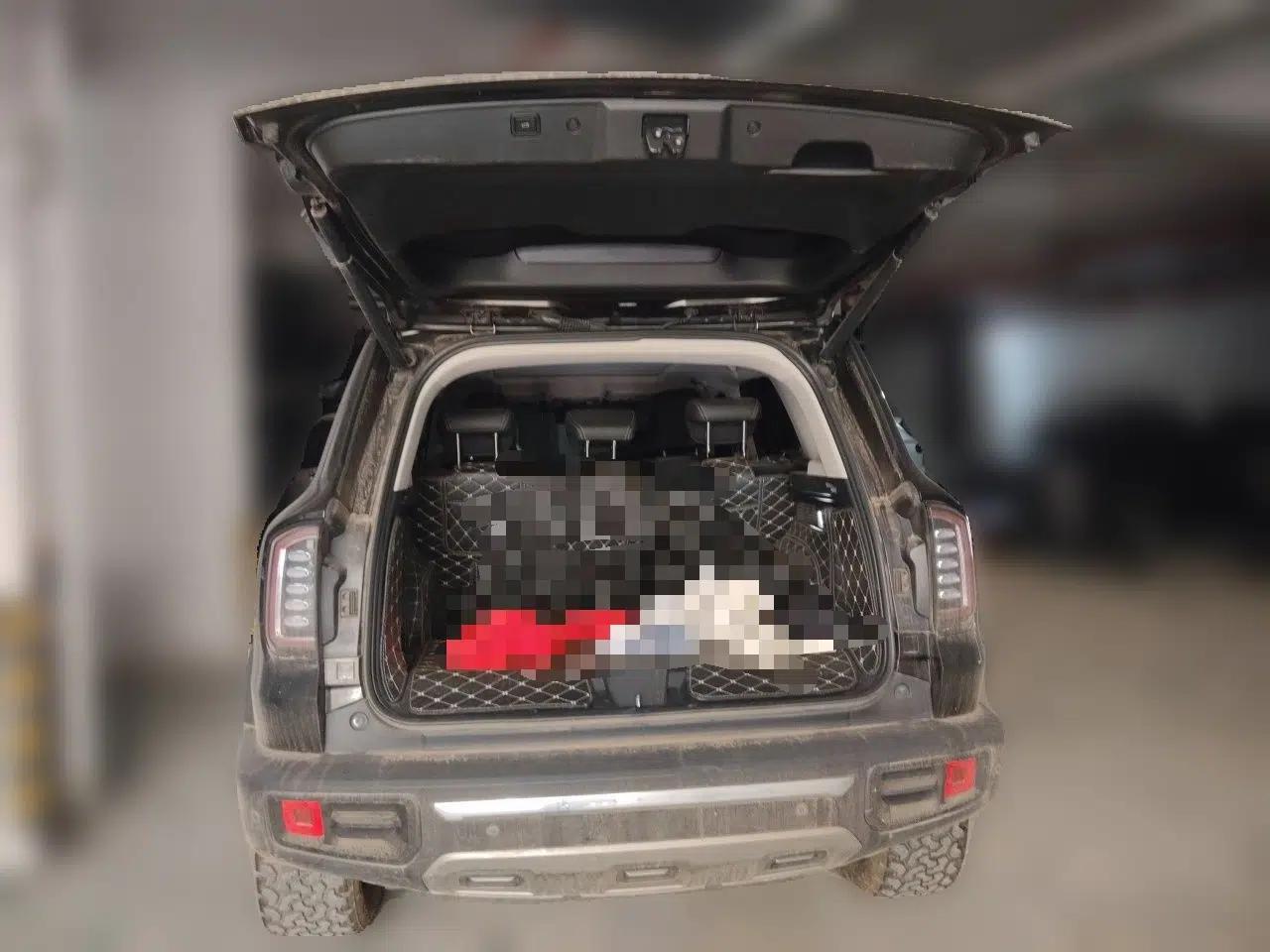 Haval DARGO 2021 2.0T DCT 4x4 Chinese Rural Dog Edition — миниатюра 19