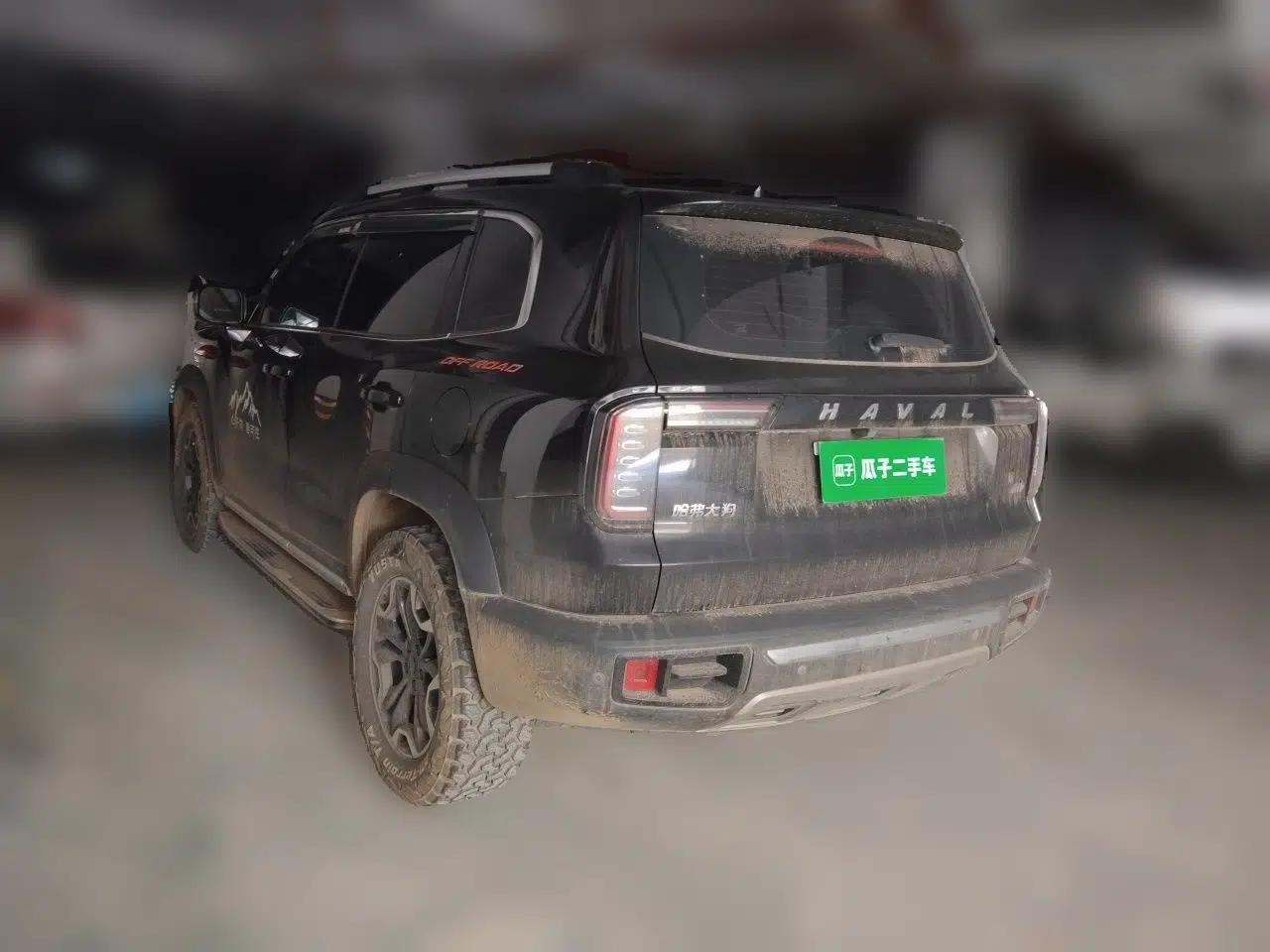 Haval DARGO 2021 2.0T DCT 4x4 Chinese Rural Dog Edition — миниатюра 4