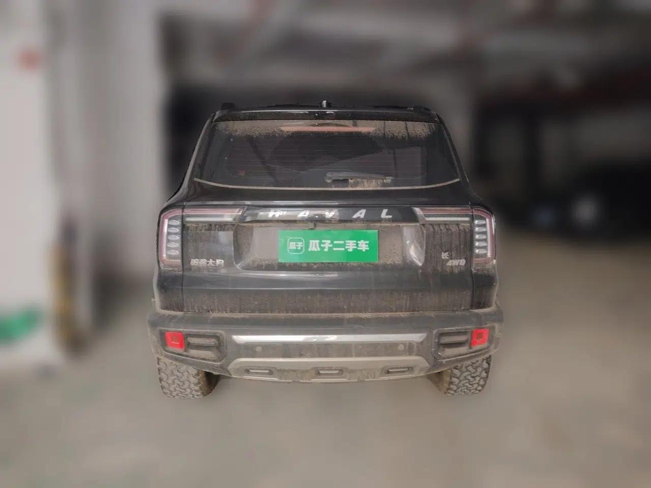 Haval DARGO 2021 2.0T DCT 4x4 Chinese Rural Dog Edition — миниатюра 5