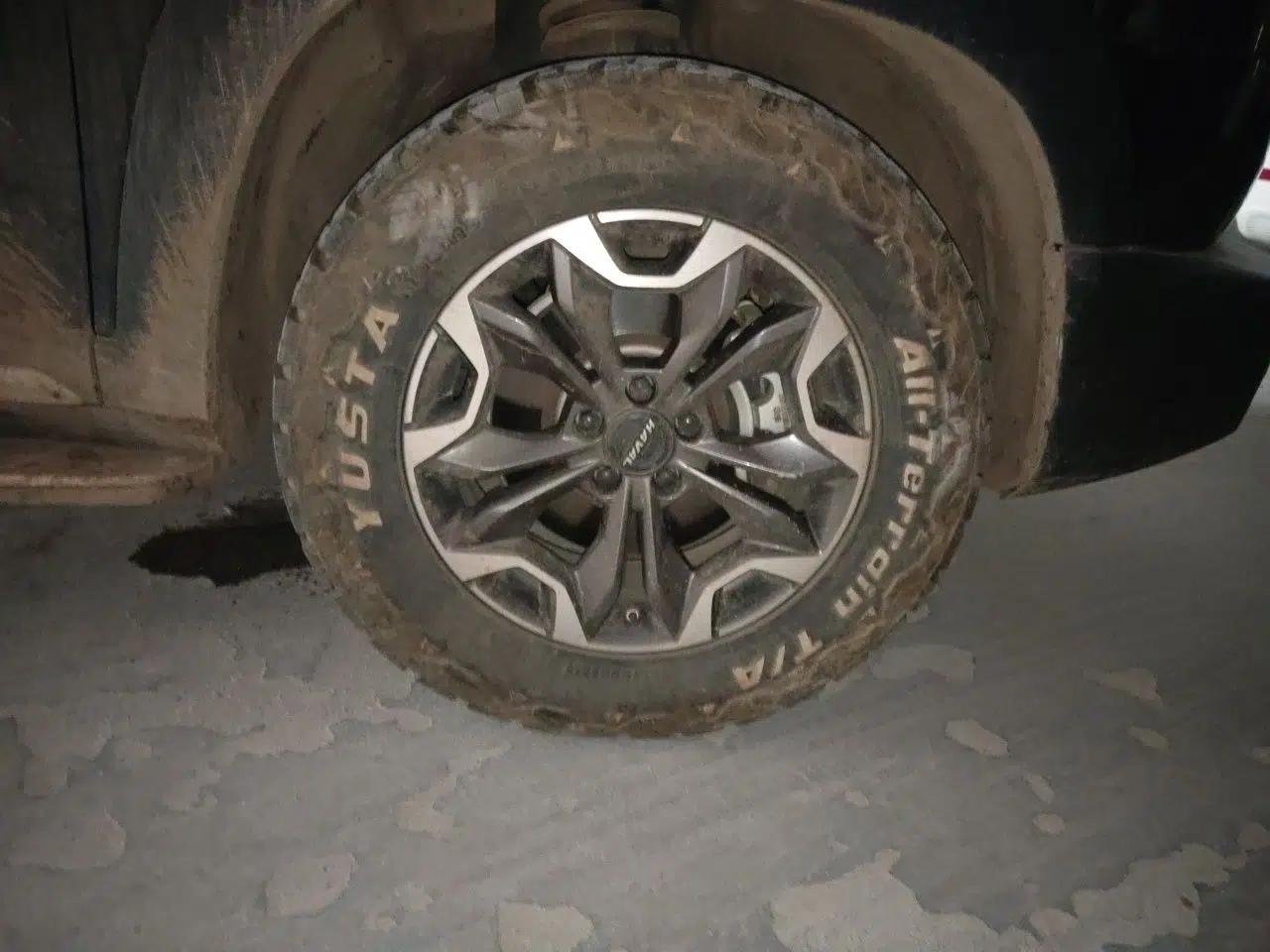 Haval DARGO 2021 2.0T DCT 4x4 Chinese Rural Dog Edition — миниатюра 8